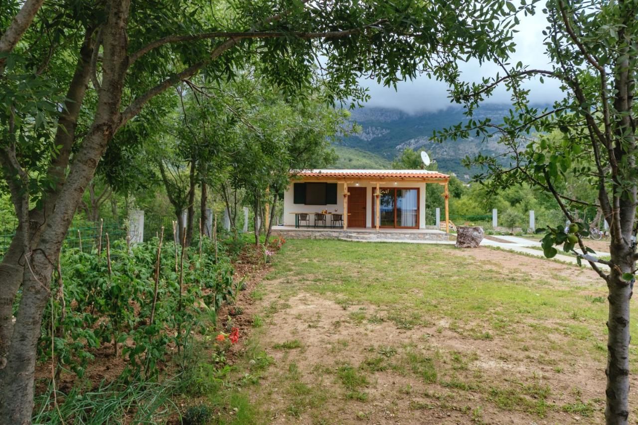 Дома для отпуска Holiday Home Milica Петровац