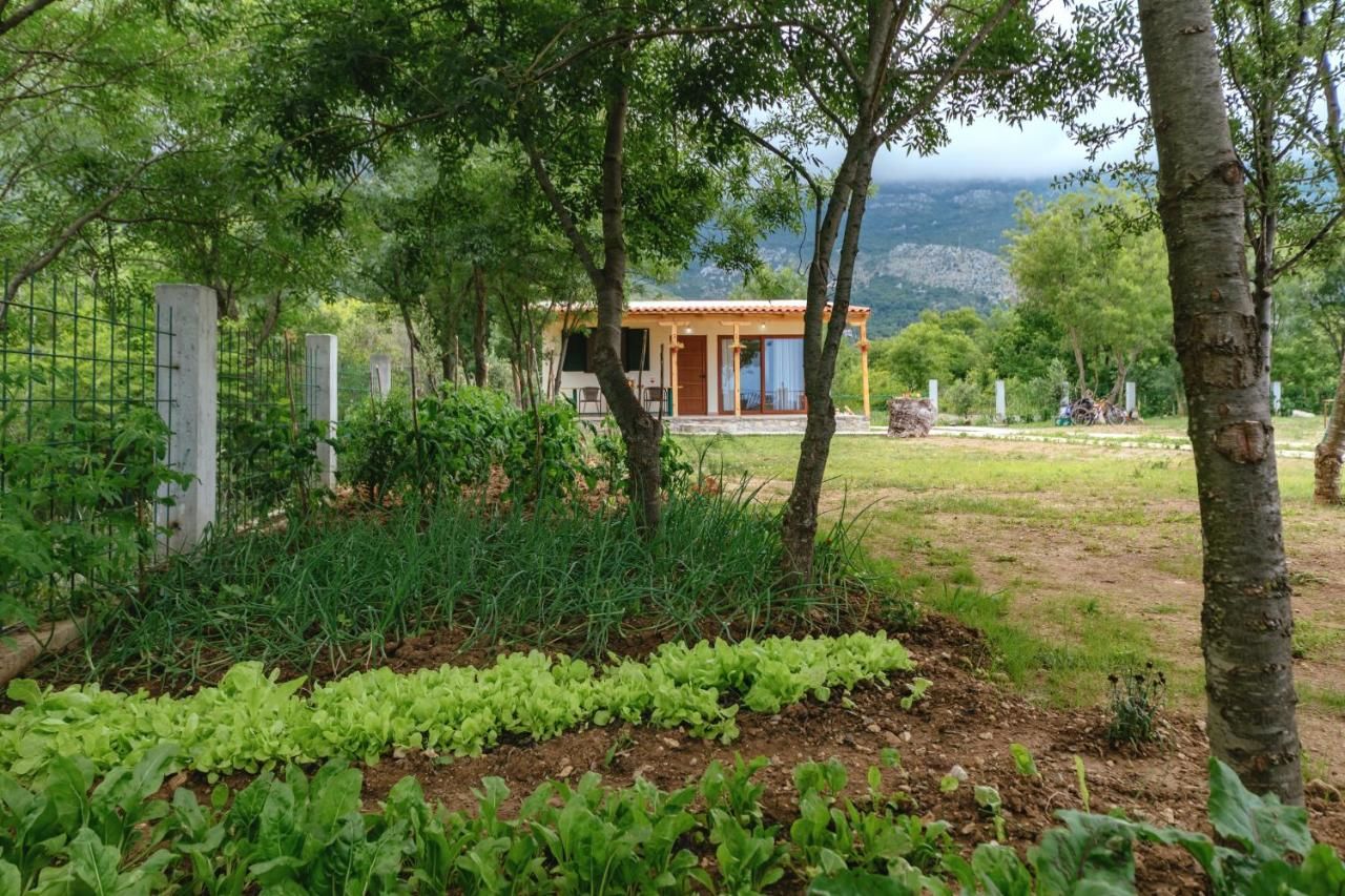 Дома для отпуска Holiday Home Milica Петровац