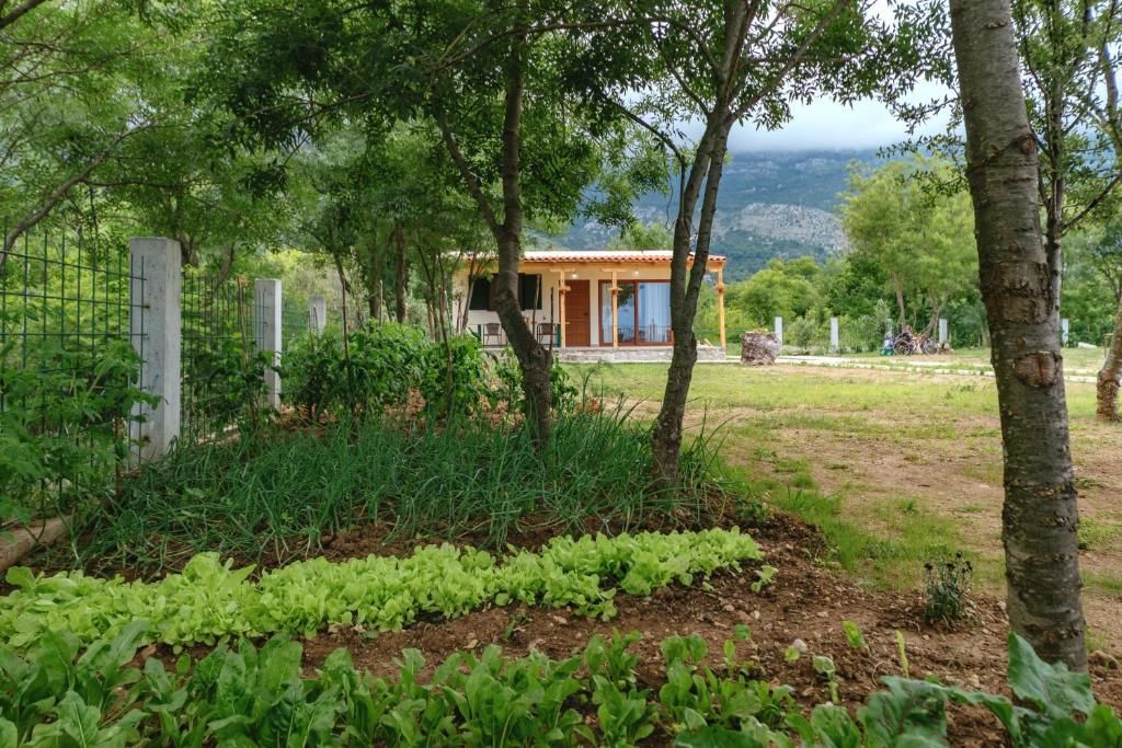 Дома для отпуска Holiday Home Milica Петровац
